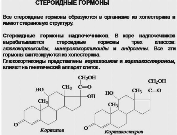Сущность и химическая структура стероидов