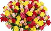 Цветы с доставкой по Тернополю помогут каждому выразить искренние чувства